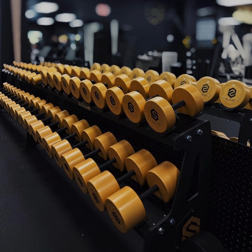 Solid Fitness logo